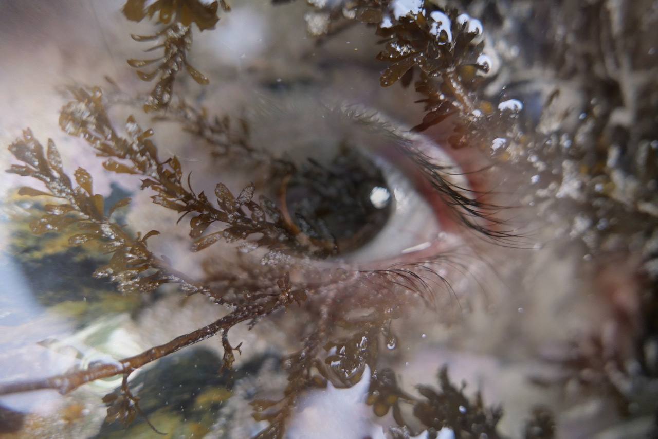 Le Goût de l'eau - Série photographique