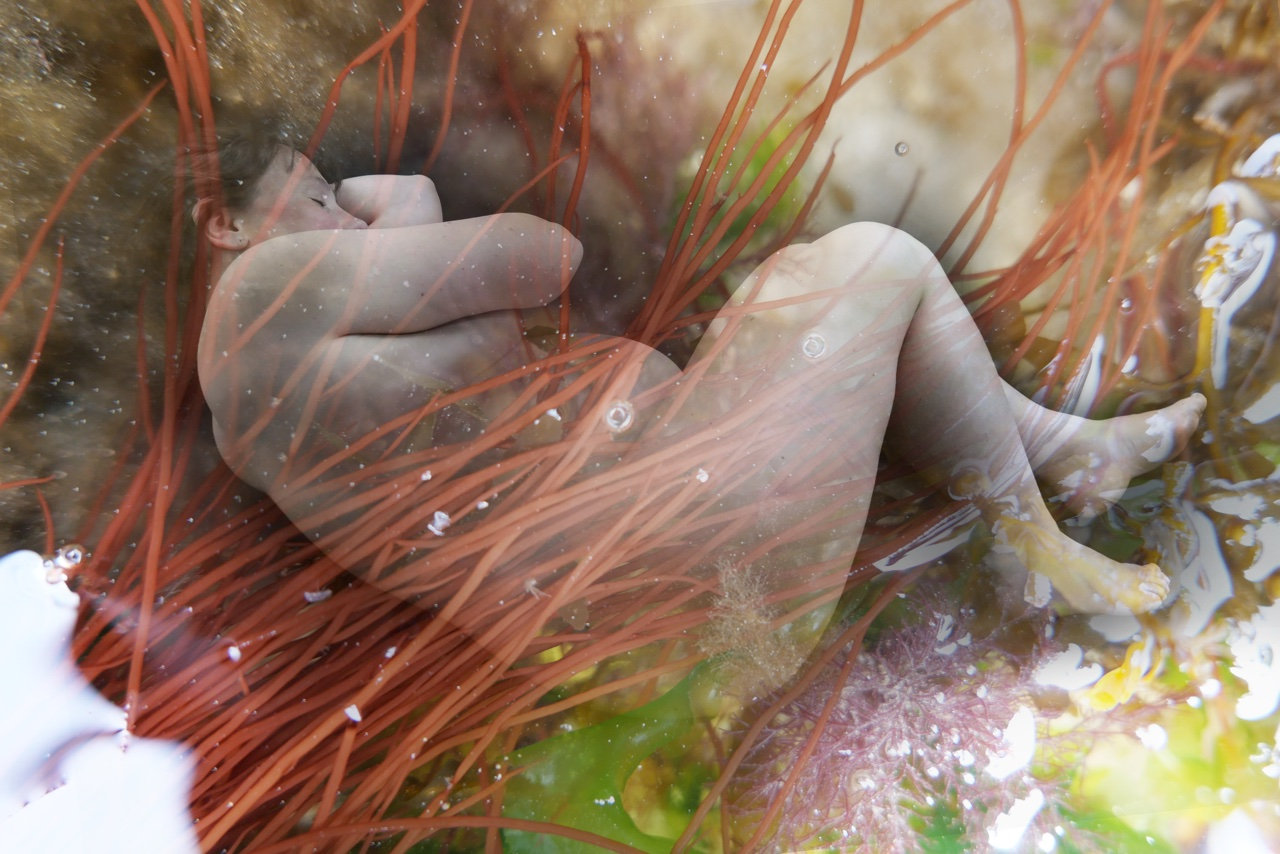 Double exposition d'un corps féminin allongé et d'algues rouges dans une mare de rochers