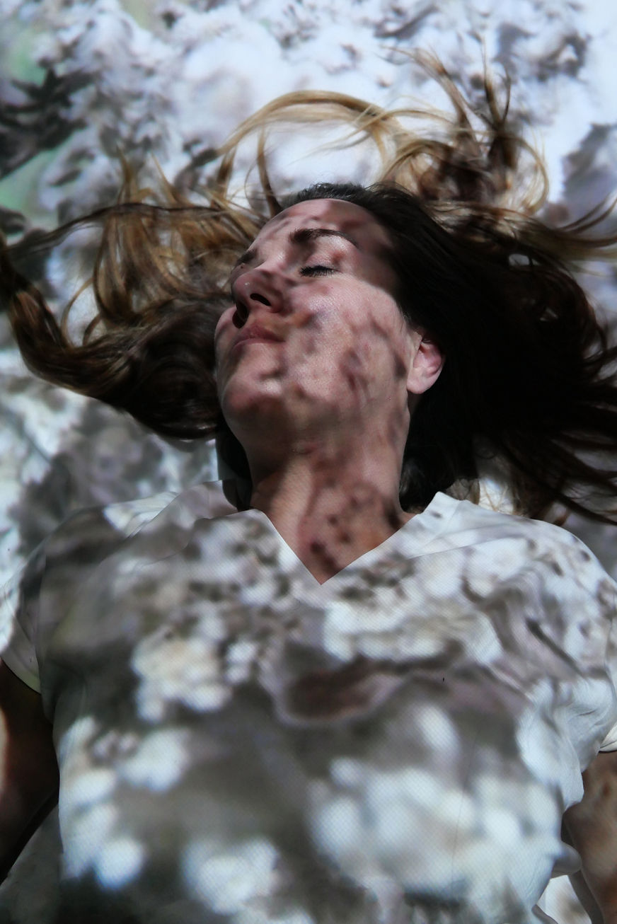 Habiter la forêt - Anna Czajkowska