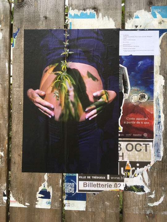 Installation de robes