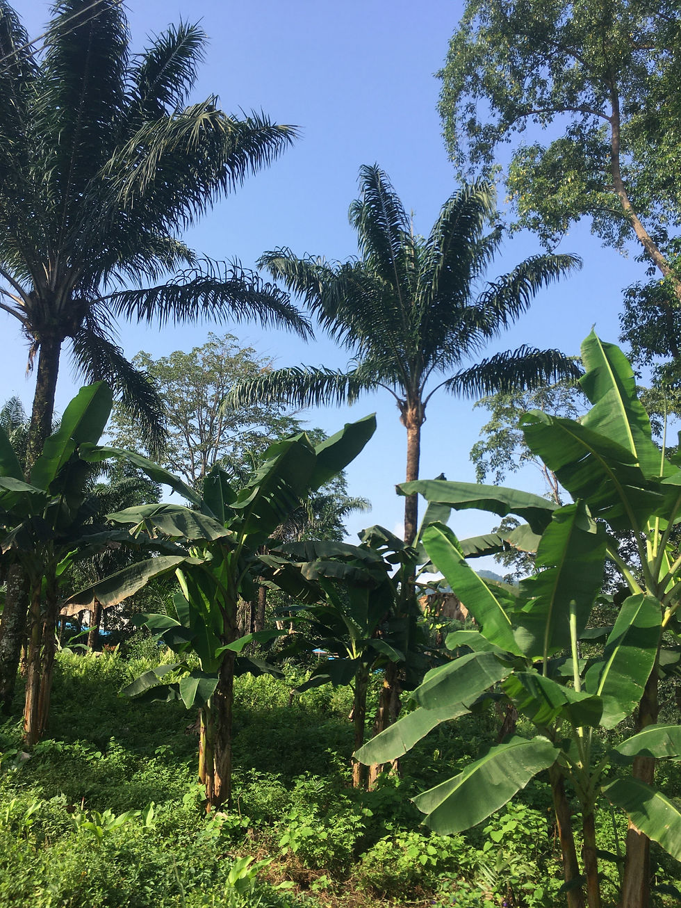 Détail installation